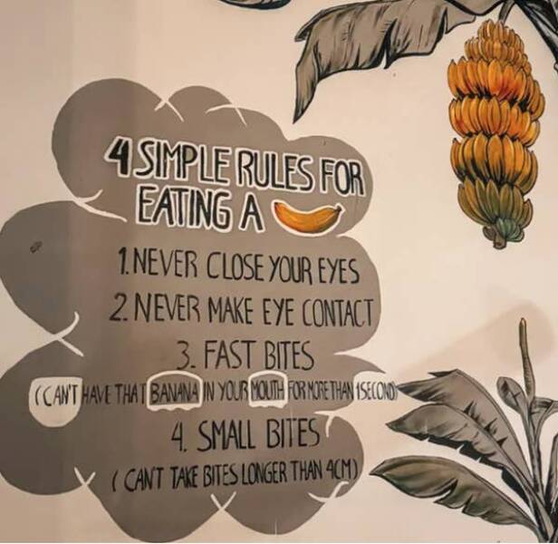 Photos That Made Us Laugh Too Hard