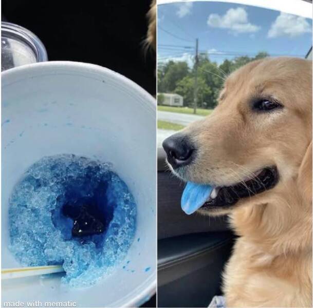 Photos That Made Us Laugh Too Hard Photos That Made Us Laugh Too Hard