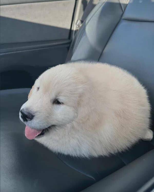 Photos That Made Us Laugh Too Hard