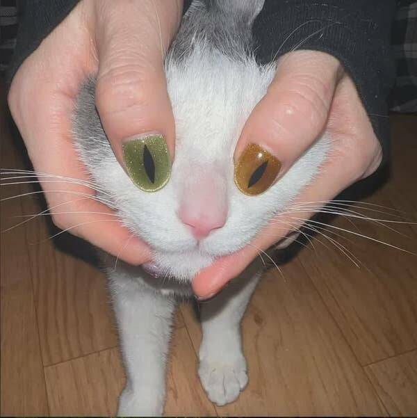 Photos That Made Us Laugh Too Hard