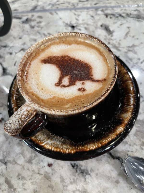 Photos That Made Us Laugh Too Hard