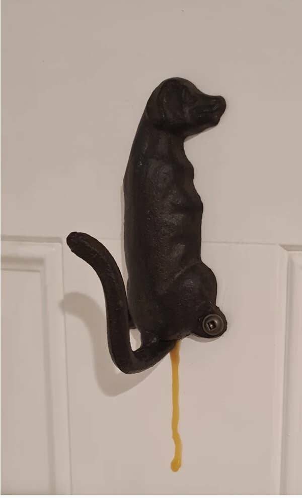 Photos That Made Us Laugh Too Hard Photos That Made Us Laugh Too Hard