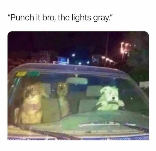 When Male Logic Defies Explanation