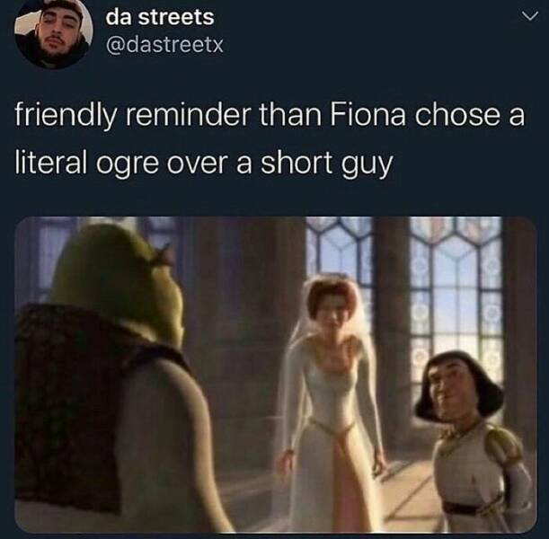 When Male Logic Defies Explanation