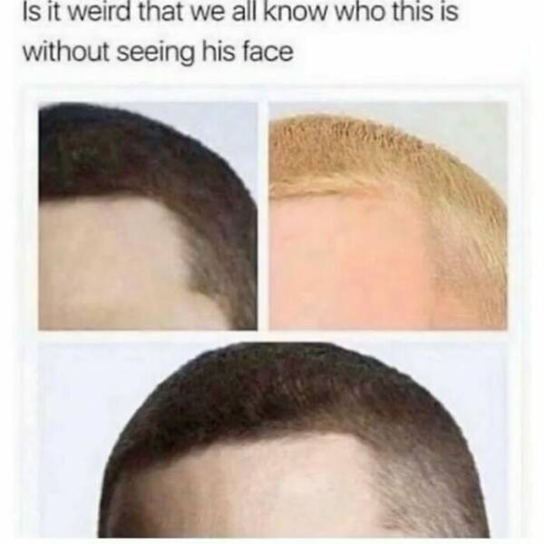 When Male Logic Defies Explanation