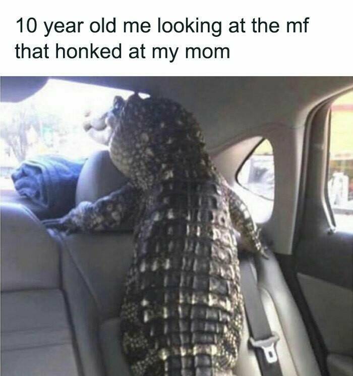 When Male Logic Defies Explanation