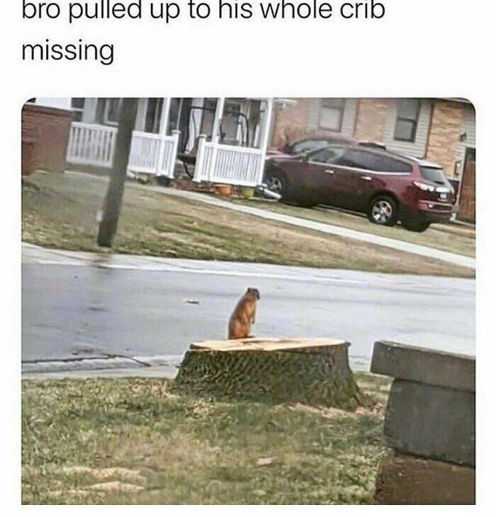 When Male Logic Defies Explanation