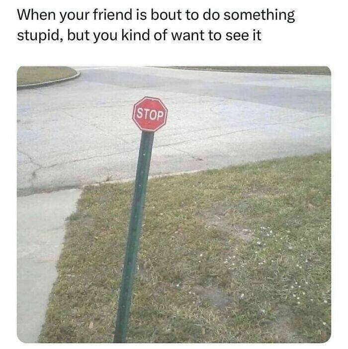 When Male Logic Defies Explanation