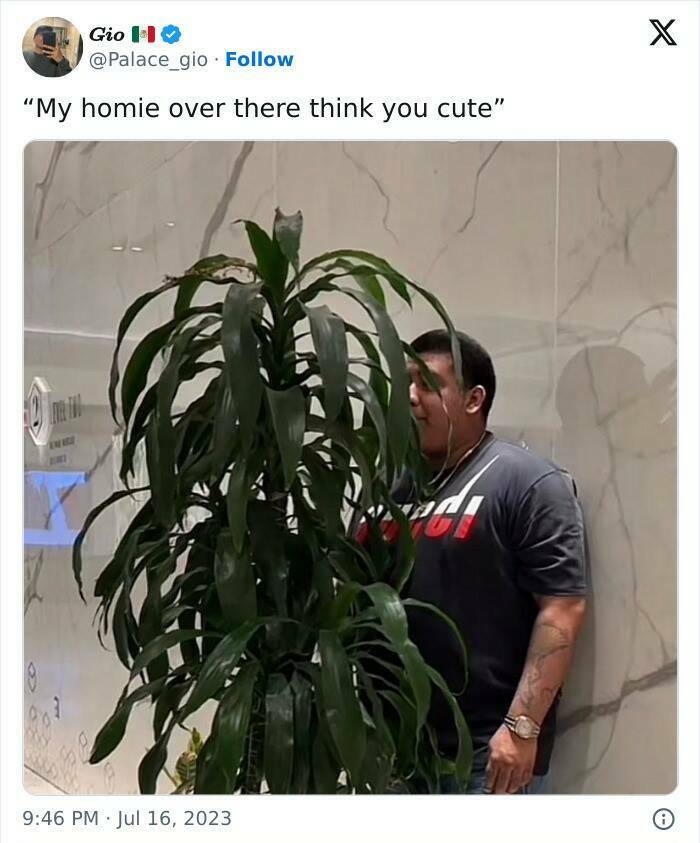 When Male Logic Defies Explanation