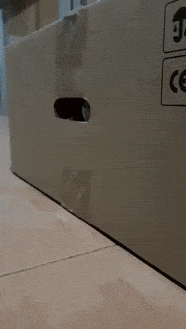 Daily Gifdump Daily Gifdump