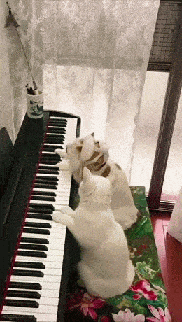 Daily Gifdump Daily Gifdump