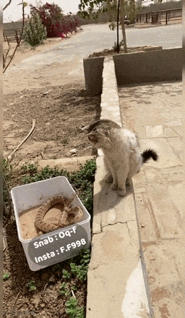 Daily Gifdump Daily Gifdump