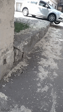 Daily Gifdump Daily Gifdump