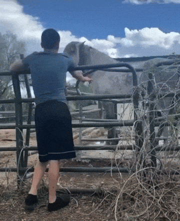 Daily Gifdump Daily Gifdump