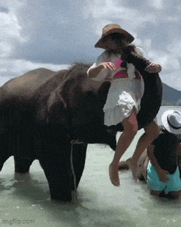 Daily Gifdump Daily Gifdump