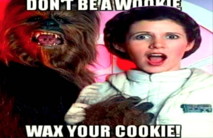 A Galaxy Of Star Wars Humor A Galaxy Of Star Wars Humor