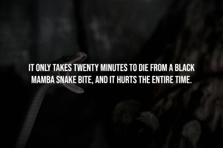 Creepy Facts You Can’t Unknow