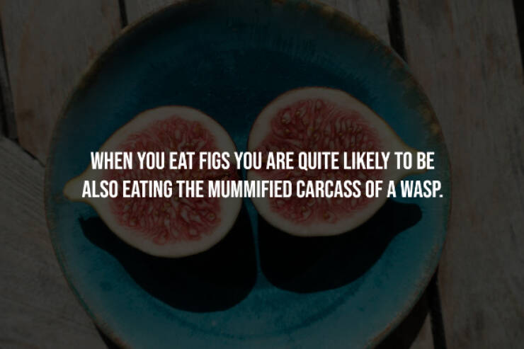 Creepy Facts You Can’t Unknow