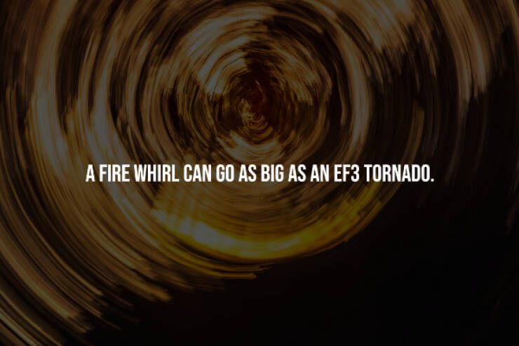 Creepy Facts You Can’t Unknow