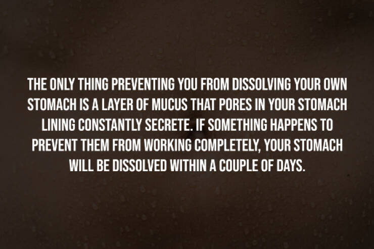 Creepy Facts You Can’t Unknow