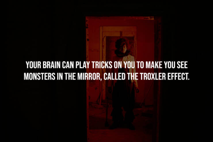 Creepy Facts You Can’t Unknow