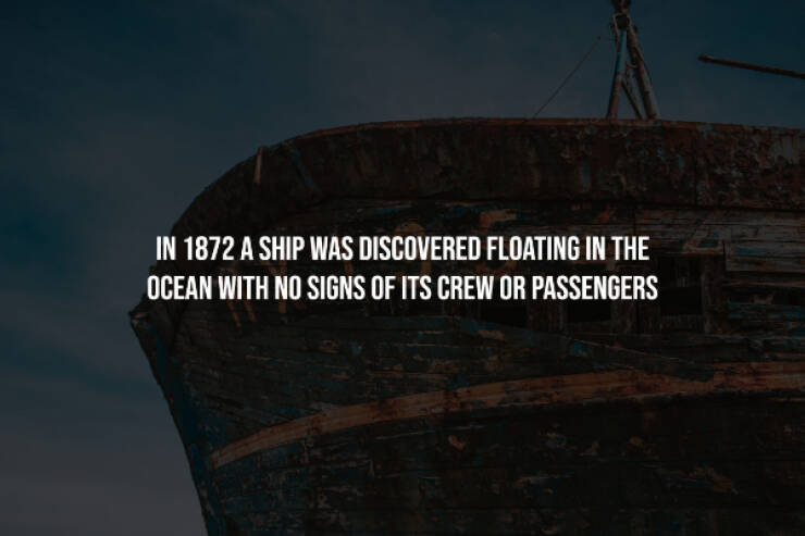 Creepy Facts You Can’t Unknow