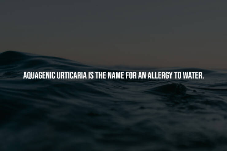 Creepy Facts You Can’t Unknow