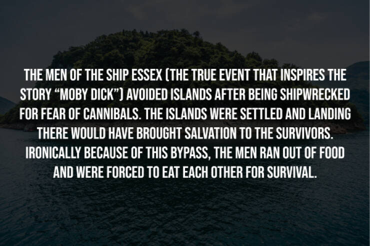 Creepy Facts You Can’t Unknow