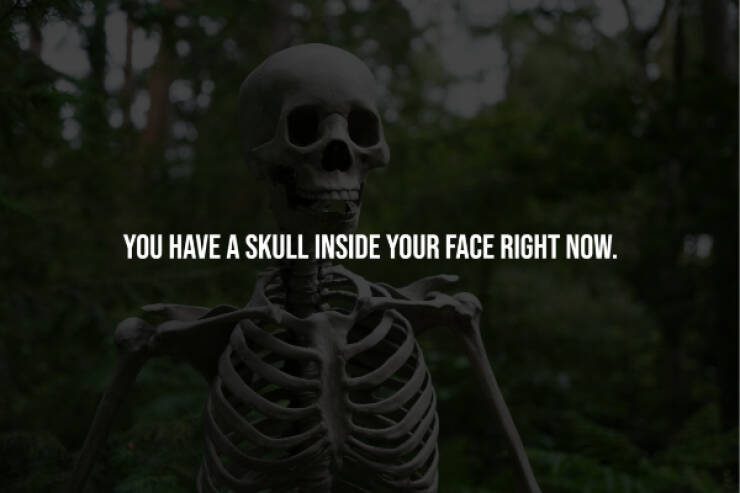 Creepy Facts You Can’t Unknow