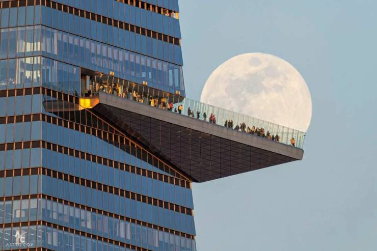 Daily Picdump Daily Picdump