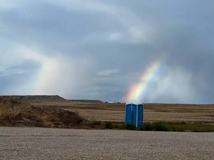 Daily Picdump Daily Picdump