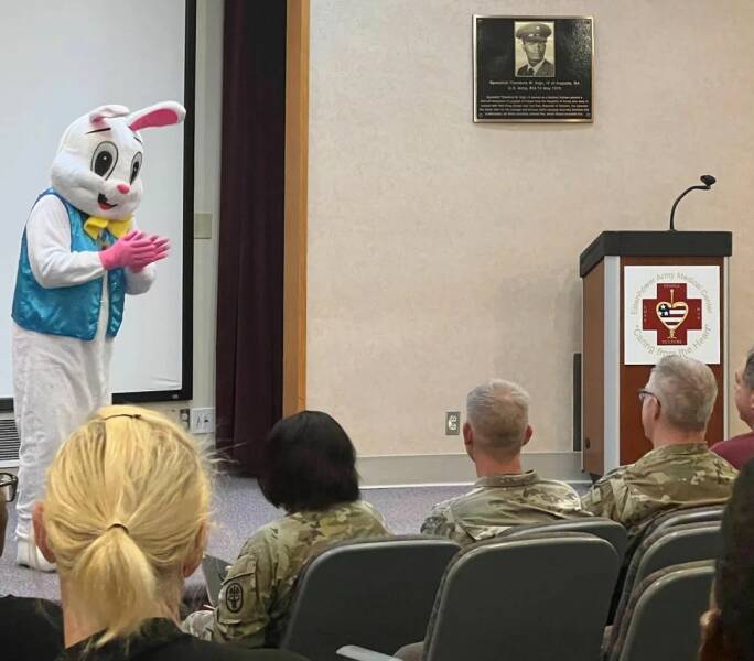 Daily Picdump Daily Picdump