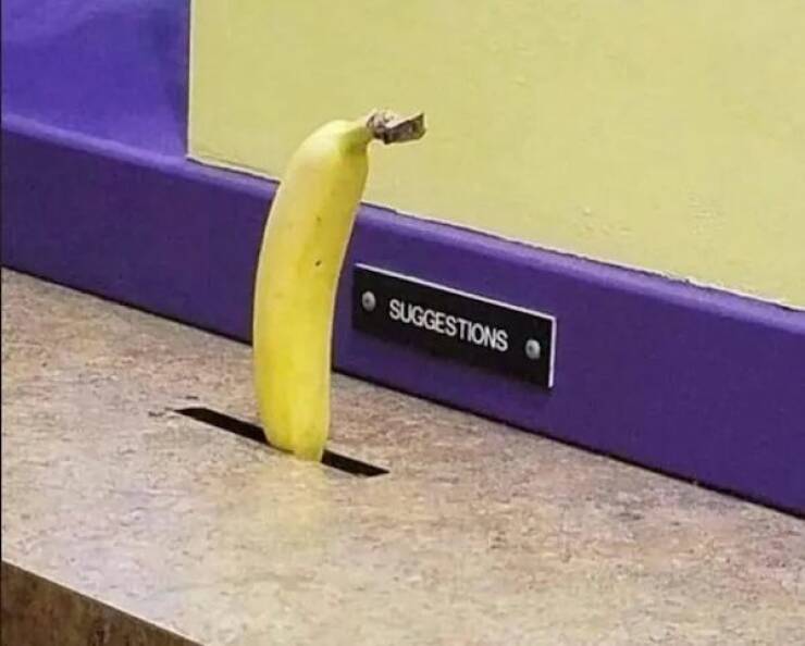 Daily Picdump Daily Picdump