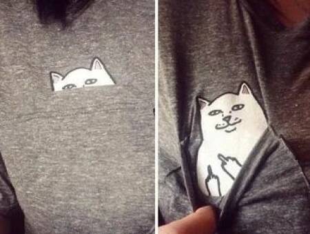 Daily Picdump Daily Picdump