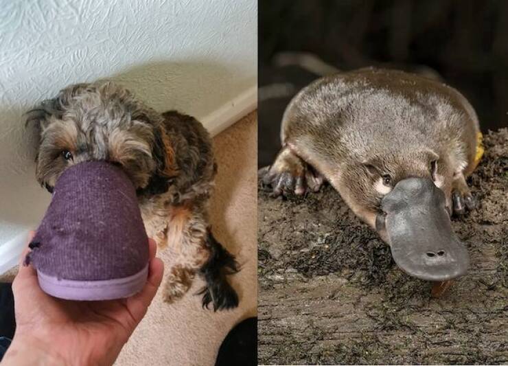 Daily Picdump Daily Picdump