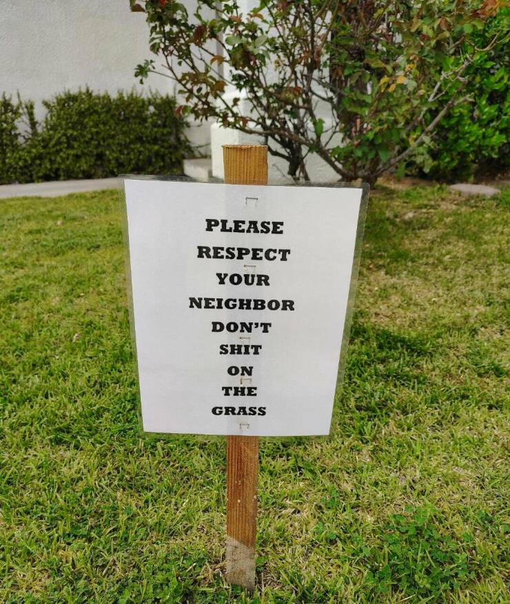 Daily Picdump Daily Picdump