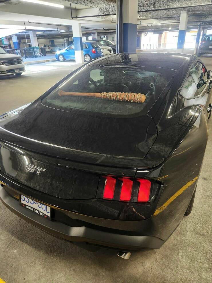 Daily Picdump Daily Picdump