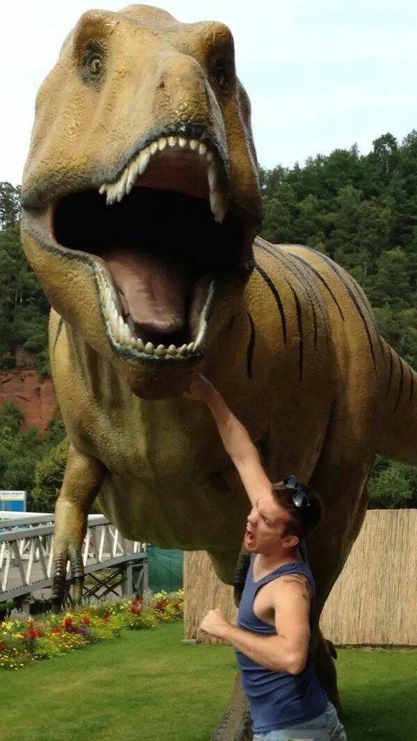 Daily Picdump Daily Picdump