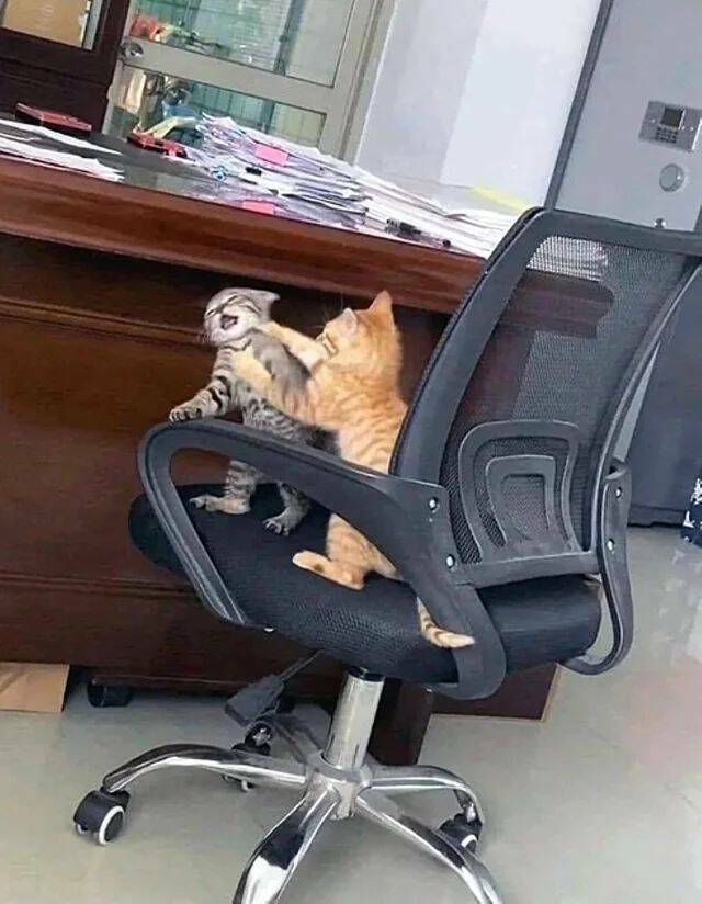 Daily Picdump Daily Picdump