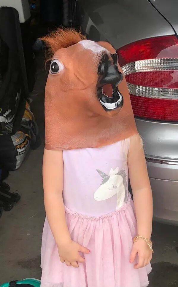 Daily Picdump Daily Picdump