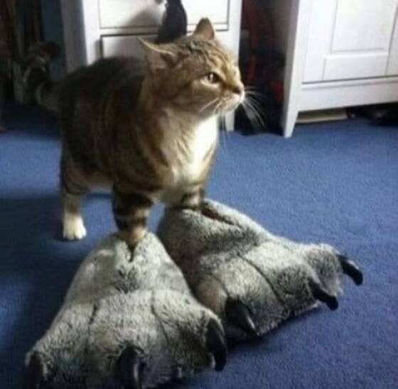 Daily Picdump [WEEKEND EDITION]