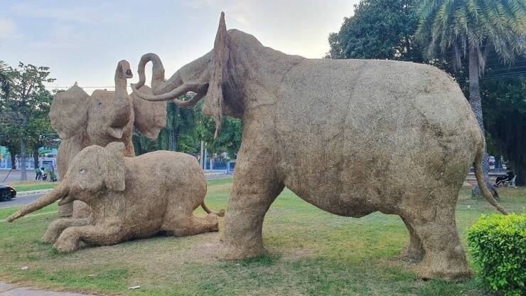 Daily Picdump [WEEKEND EDITION]