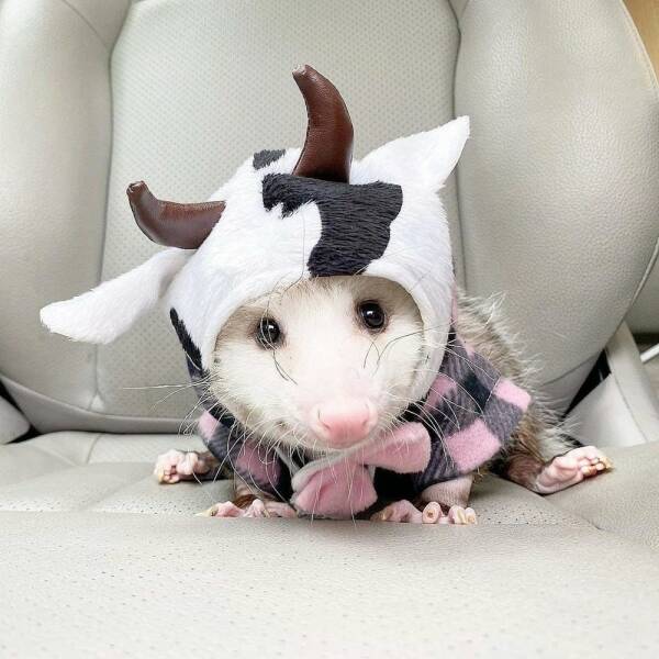 Daily Picdump [WEEKEND EDITION]