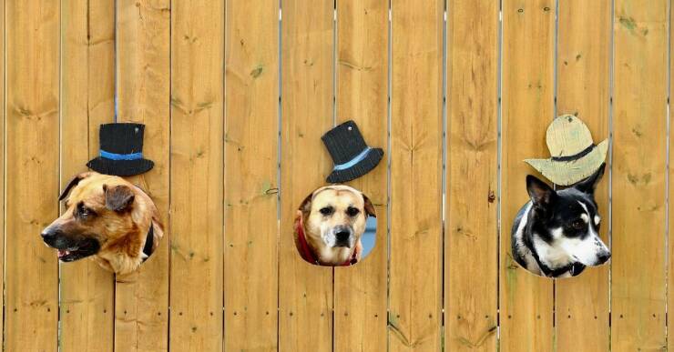 Daily Picdump [WEEKEND EDITION]