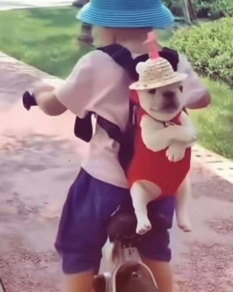 Daily Picdump [WEEKEND EDITION]