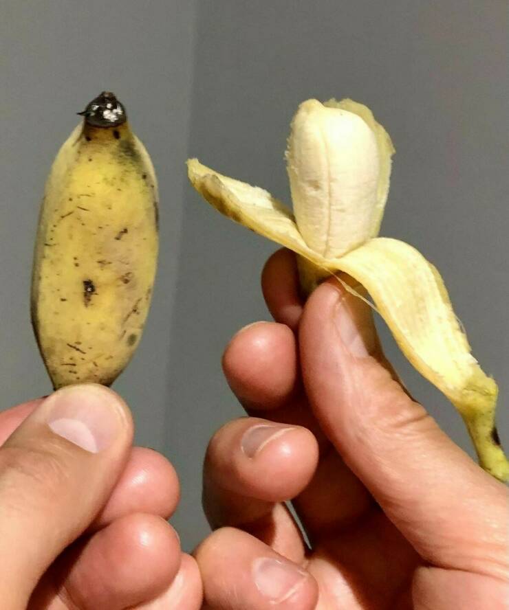 Daily Picdump [WEEKEND EDITION]