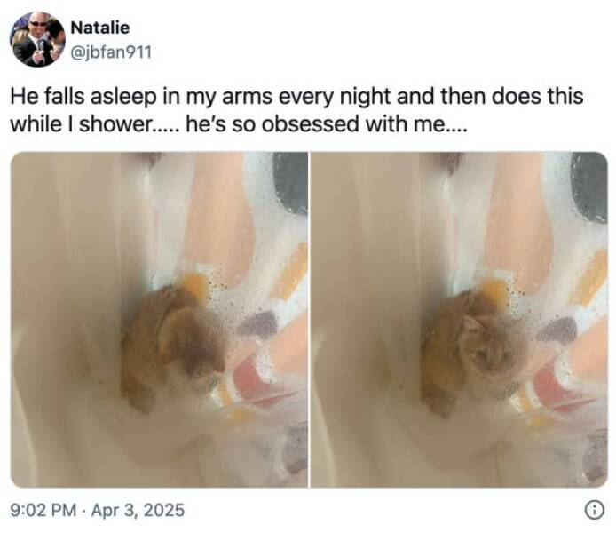 Feel-Good Moments That Made The Internet Smile Feel-Good Moments That Made The Internet Smile