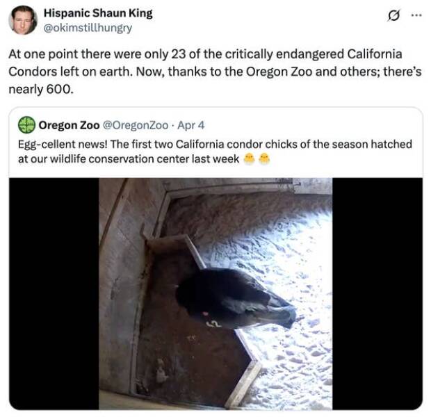 Feel-Good Moments That Made The Internet Smile Feel-Good Moments That Made The Internet Smile