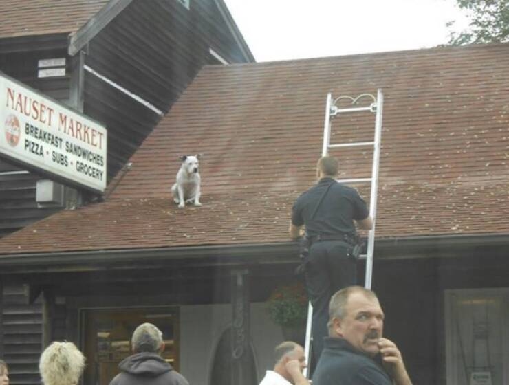 Feel-Good Moments That Made The Internet Smile Feel-Good Moments That Made The Internet Smile