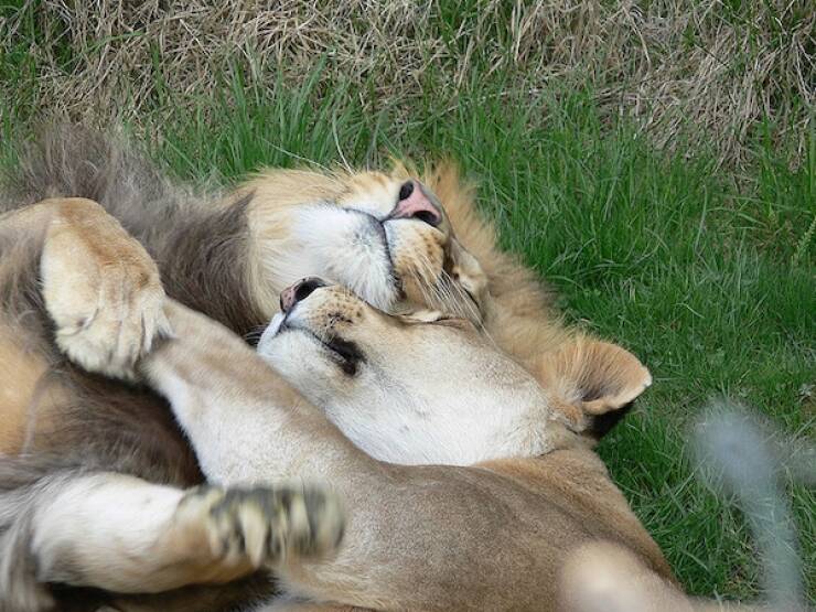 Feel-Good Moments That Made The Internet Smile Feel-Good Moments That Made The Internet Smile